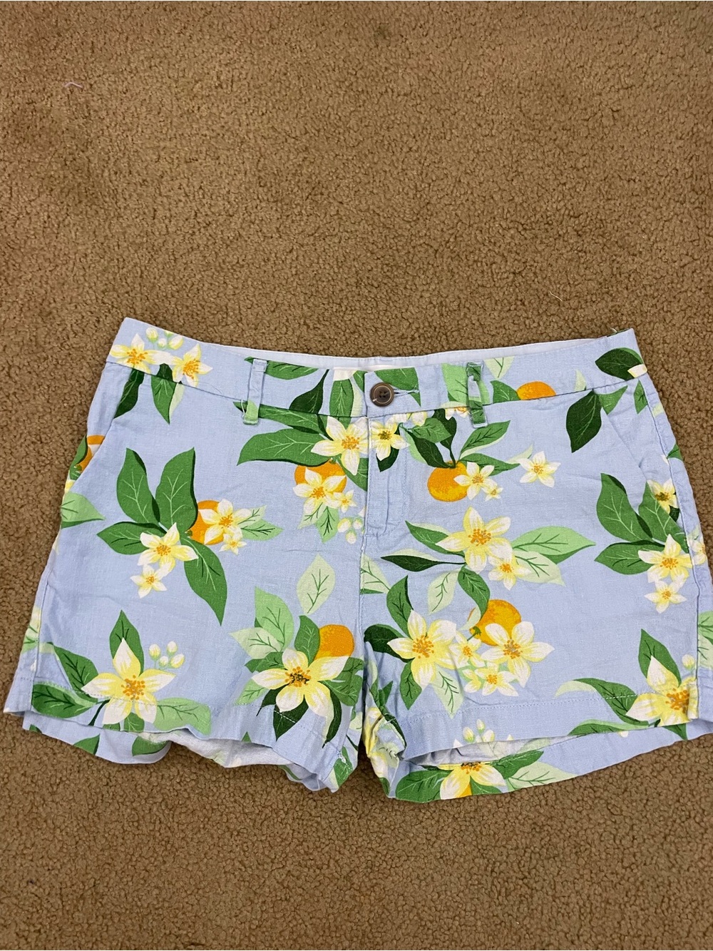 Old Navy Light Blue Floral & Lemon Print Shorts Size 6